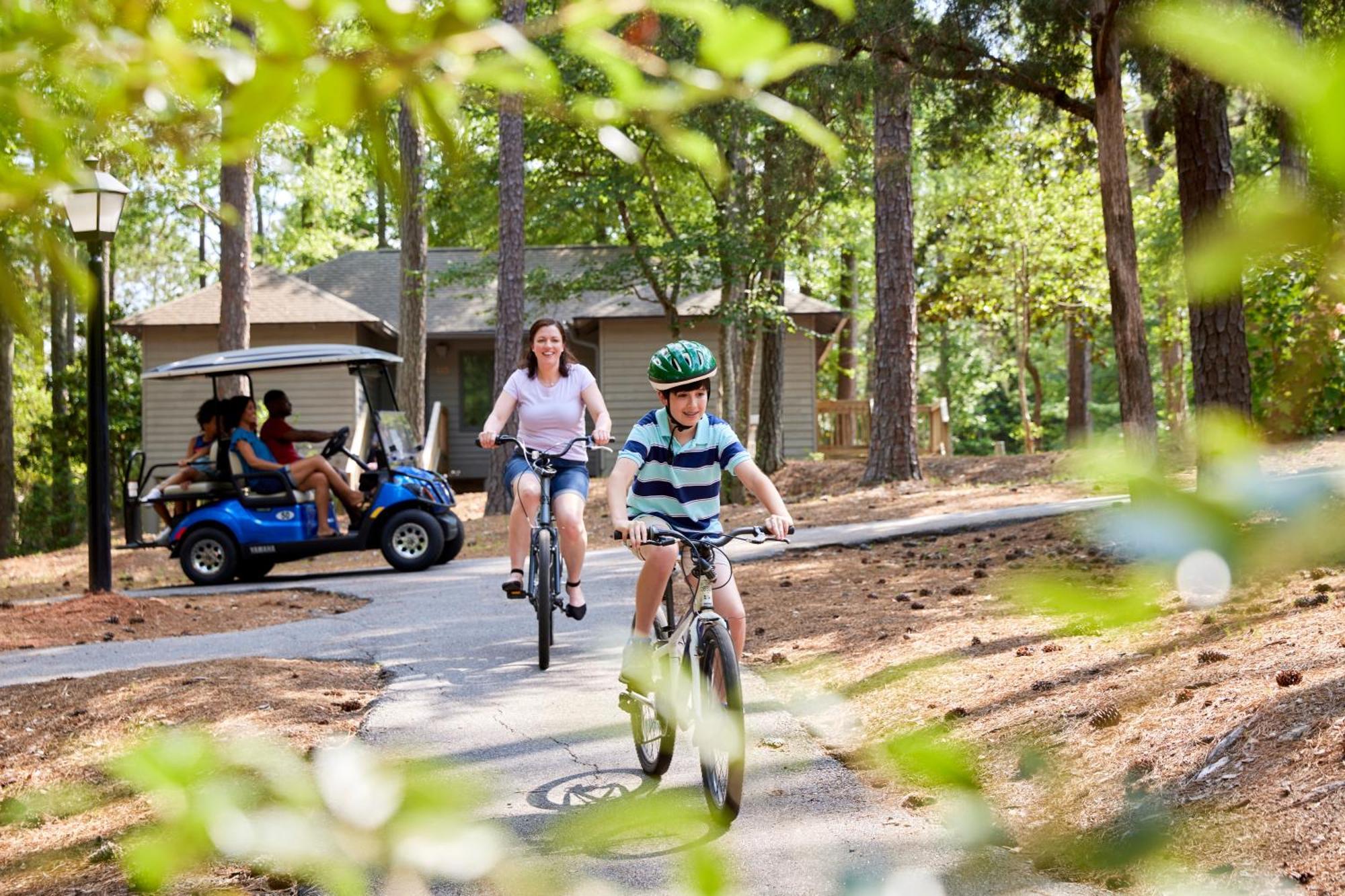 Callaway Resort & Gardens パイン・マウンテン エクステリア 写真